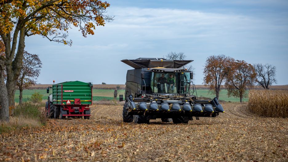 kukurydza na ziarno z Fendt Ideal / 2022