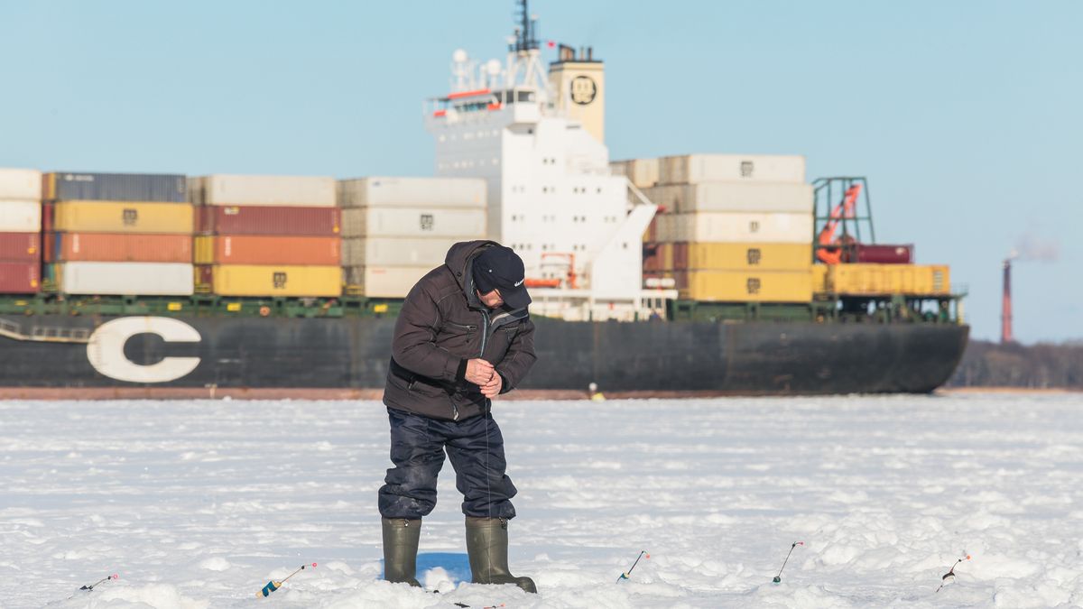 Lód skuł wody Zatoki Fińskiej