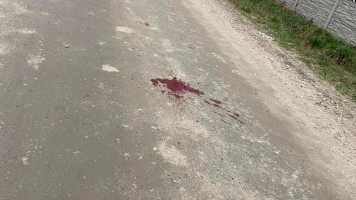  Młody chłopak kierujący czarnym BMW rozjechał Maltańczyka w Gortatowie na ul. Błotnej (woj wielkopolskie). 