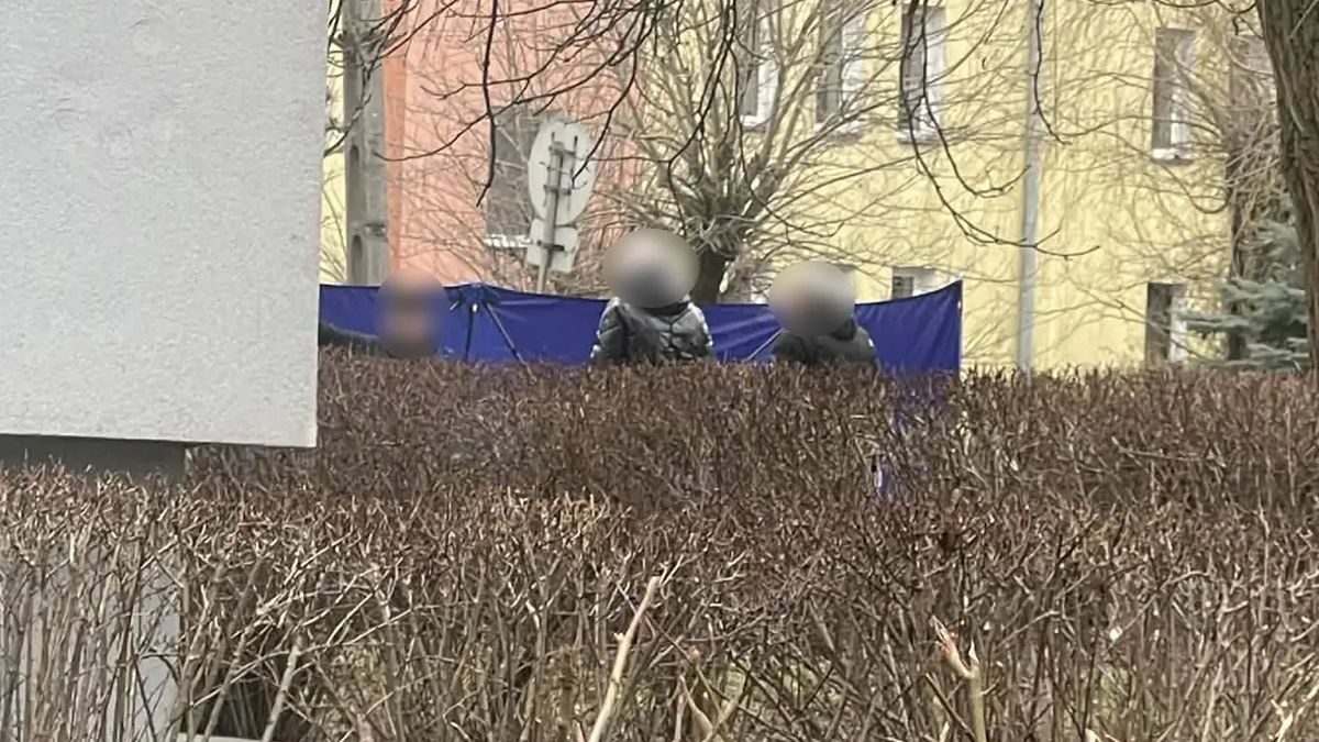 Miejsce zdarzenia