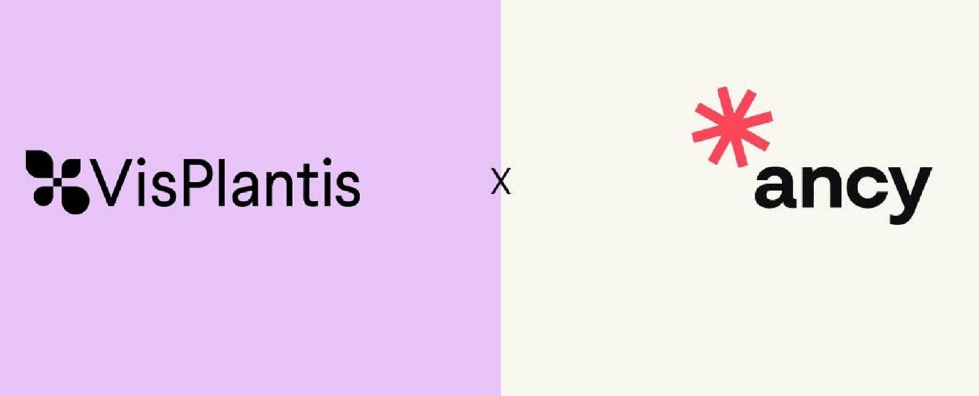 Vis Plantis w gronie klientów agencji Ancy
