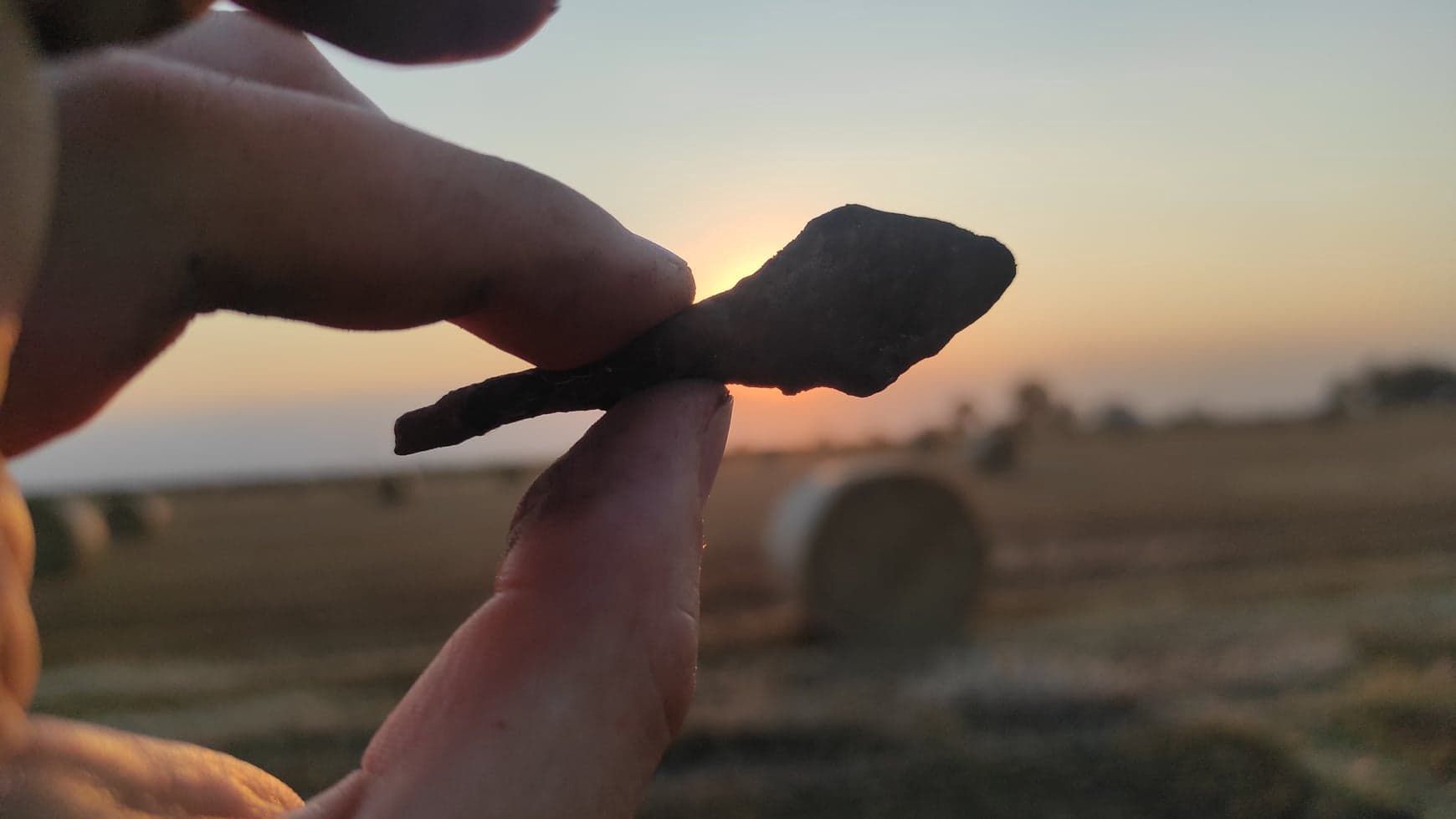 Poszukiwania archeologiczne pod Płowcami