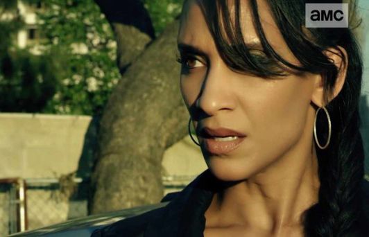 5 nowych kanałów w ofercie Pilot WP