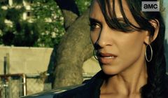 5 nowych kanałów w ofercie Pilot WP