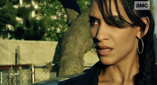 5 nowych kanałów w ofercie Pilot WP