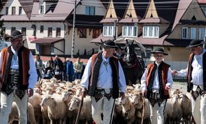 Rośnie popularność tradycyjnego zawodu. Więcej osób kończy szkolenia