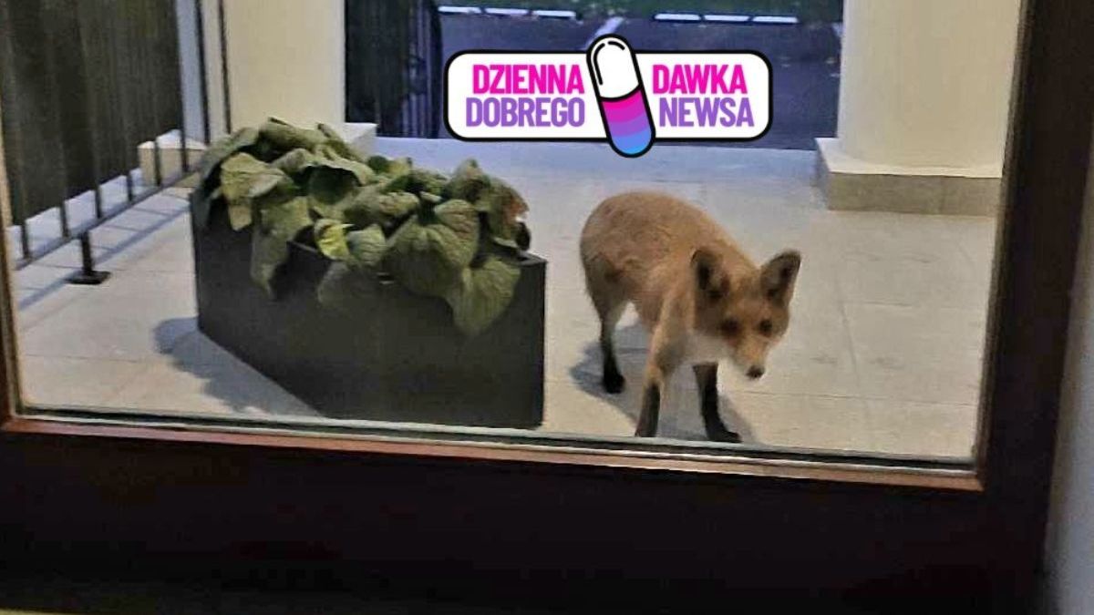 Rudy kandydat pojawił się przed biurem