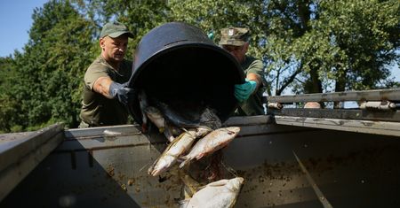30 ton śniętych ryb. Kolejny akwen z problemem