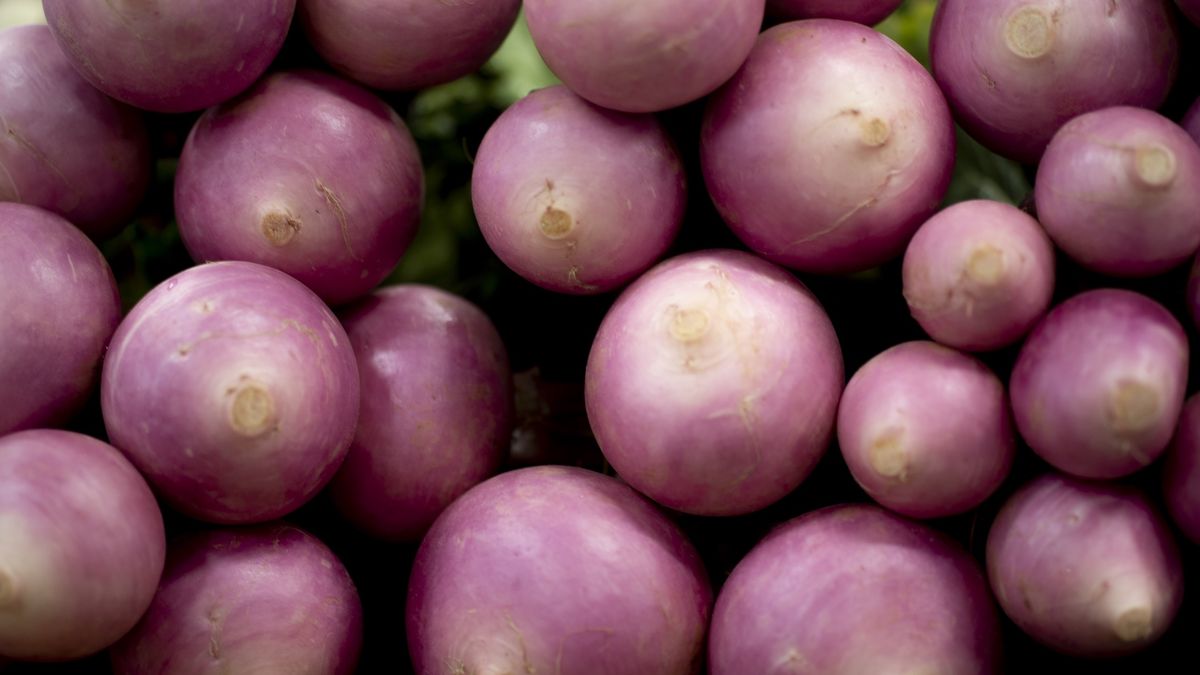 Rzepa jest tania, a Polacy i tak nie kupują