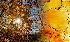 Złota polska jesień. Idzie zwrot w pogodzie