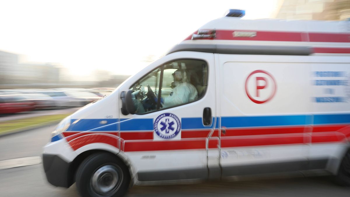 Zdjęcie ilustracyjne. 