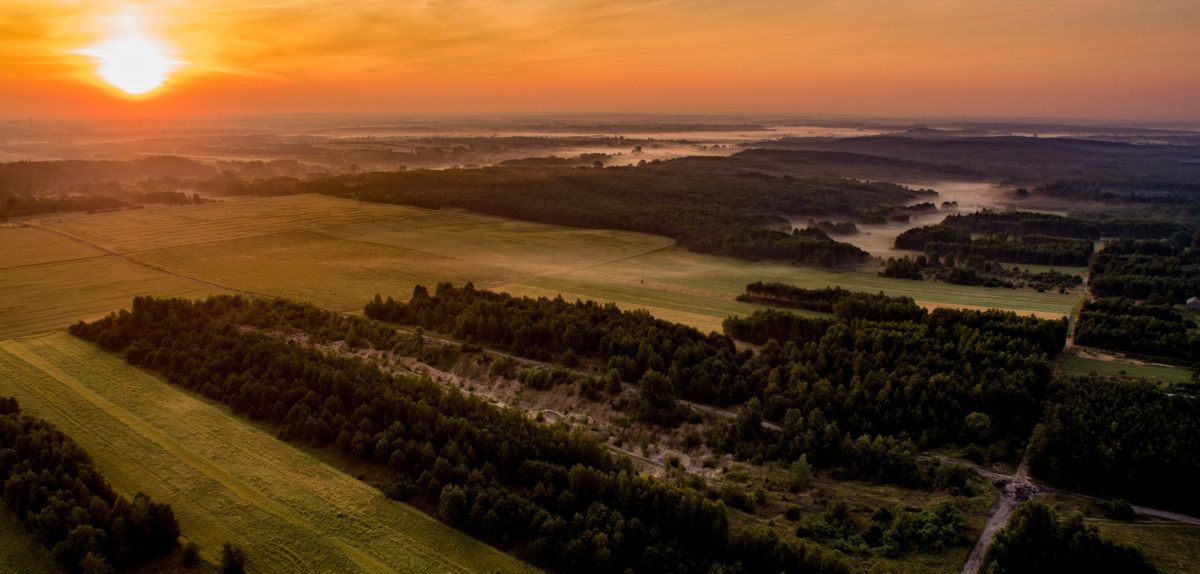Zmiany w dzierżawie rolniczej. Nowe przepisy zwiększą stabilność umów
