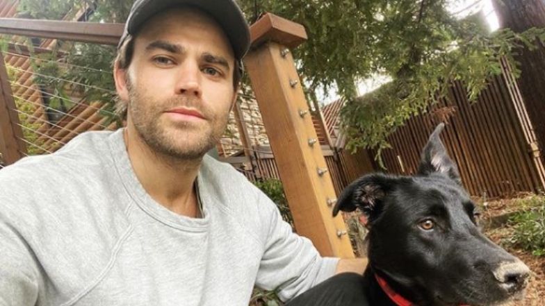 Te gwiazdy mają polskie korzenie