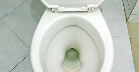 Wrzuć do muszli. W kwadrans "wyżre" największy kamień