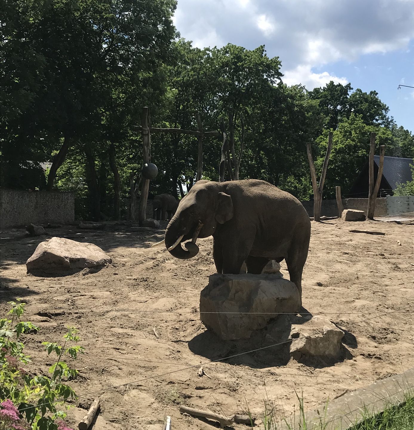 W płockim zoo znajduje się aż 580 gatunków zwierząt