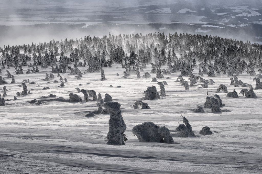 10. Wielki Konkurs Fotograficzny National Geographic - zobacz nagrodzone zdjęcia 20