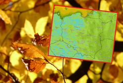 Pogoda na pierwszy weekend jesieni. Będzie chłodno, ale słonecznie