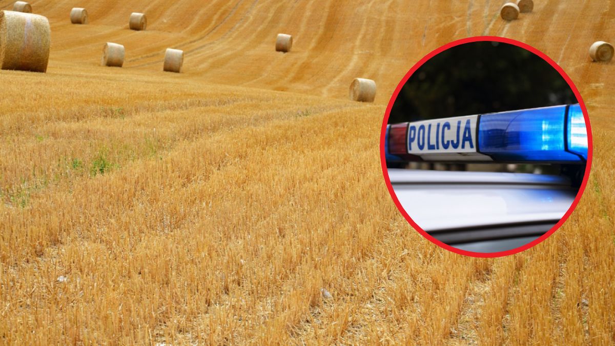 Tragiczny wypadek podczas sianokosów. Nie żyje 61-latek