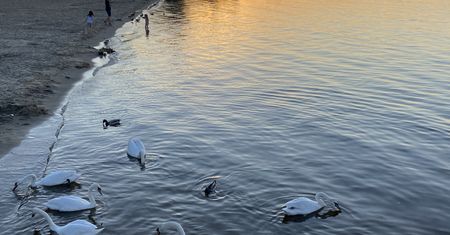 Warszawa. Letniska. Sentymentalna podróż po linii otwockiej