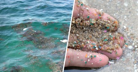 Robotyczna ryba "zjadająca" mikroplastik. Chińczycy pracują nad wynalazkiem, który pomoże oczyszczać oceany