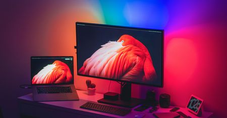 Apple nieuczciwie zachwalał Pro Display XDR. Firma wprowadzała w błąd z pokryciem kolorów