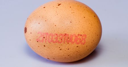 Głośno wokół jajek z Biedronki. Czy wiesz, co oznaczają kody na skorupach?