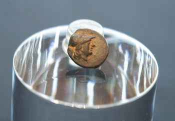 13-latek znalazł monetę. Okazała się pierwszym takim artefaktem