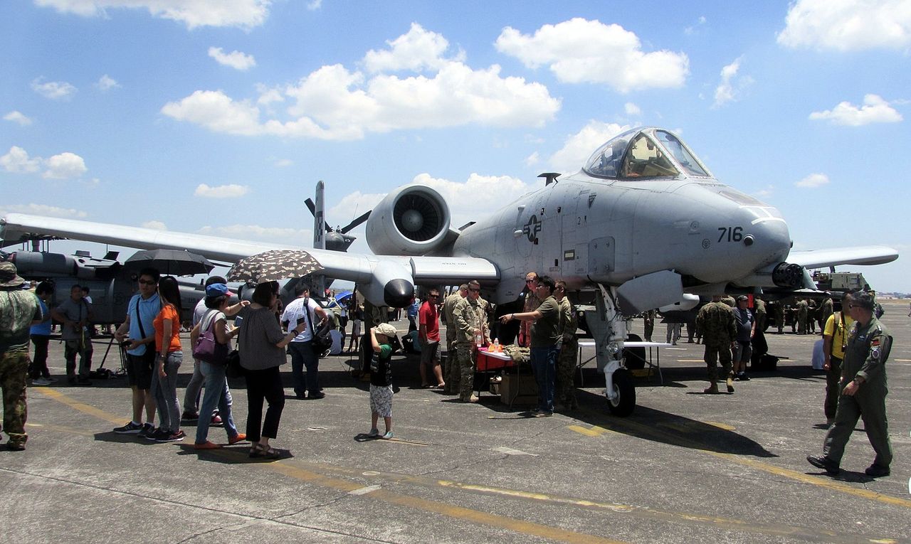 Samoloty szturmowe A-10, zwane Warthogami lub Hogami 