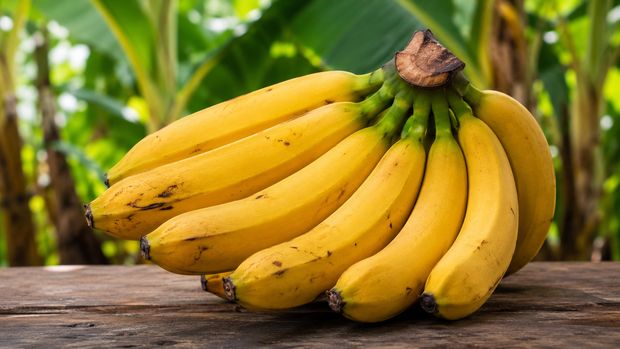 Czy banan jest jagodą? Botanicy od dawna znają odpowiedź, która zaskakuje większość ludzi