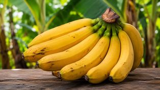 Czy banan jest jagodą? Botanicy od dawna znają odpowiedź, która zaskakuje większość ludzi
