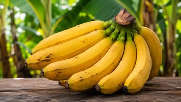 Czy banan jest jagodą? Botanicy od dawna znają odpowiedź, która zaskakuje większość ludzi