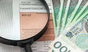Ruszają rozliczenia PIT. Przez wysłanie "z automatu" możemy stracić