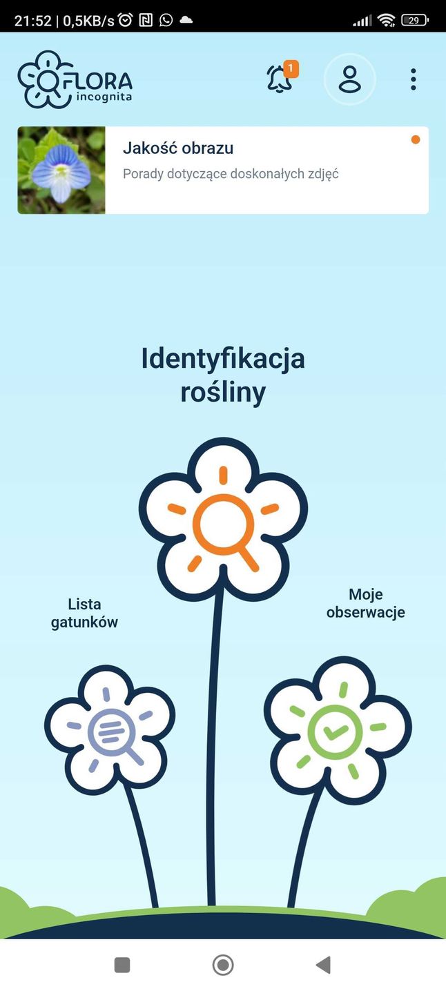 Darmowy Program Do Rozpoznawania Roślin Flora Incognita - darmowa aplikacja do rozpoznawania roślin