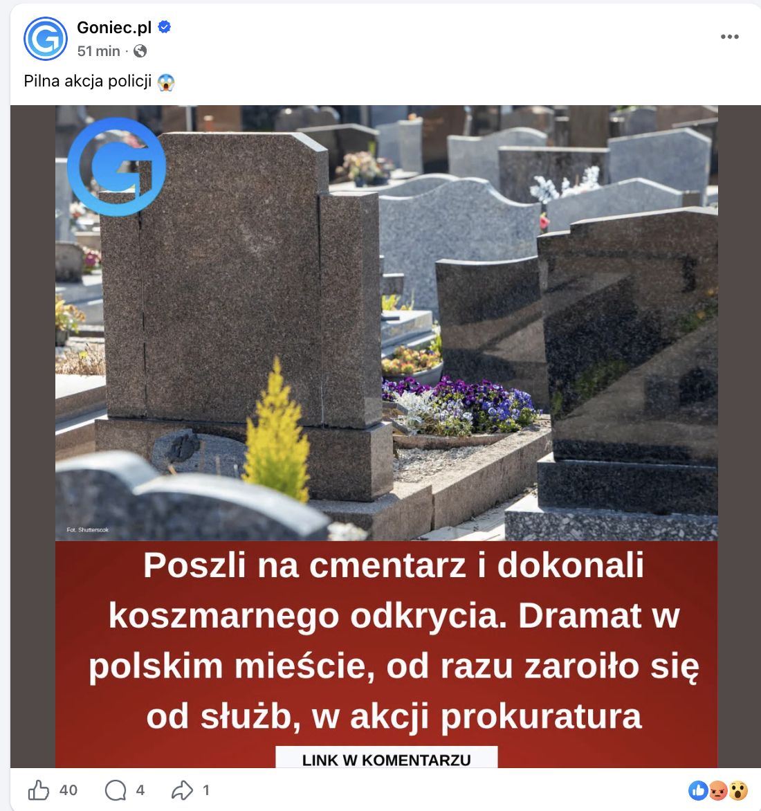 Kilka screenów z profili Iberionu.