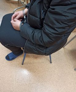 Sosnowiec. Złodziejska szajka złapana, policjantom dopisało szczęście