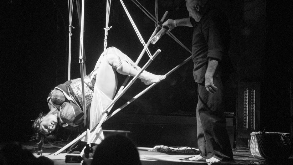 shibari