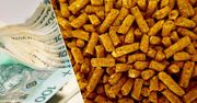Wysokie ceny opału uderzyły w 400 tys. Polaków. Będą dopłaty do pelletu?