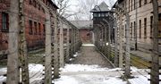 80 lat temu wyzwolono obóz. Tak wyglądały ostatnie dni Auschwitz