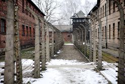80 lat temu wyzwolono obóz. Tak wyglądały ostatnie dni Auschwitz