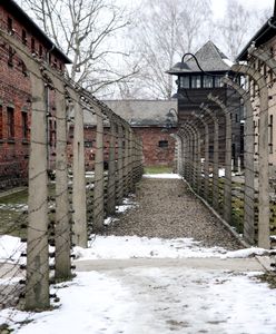 80 lat temu wyzwolono obóz. Tak wyglądały ostatnie dni Auschwitz