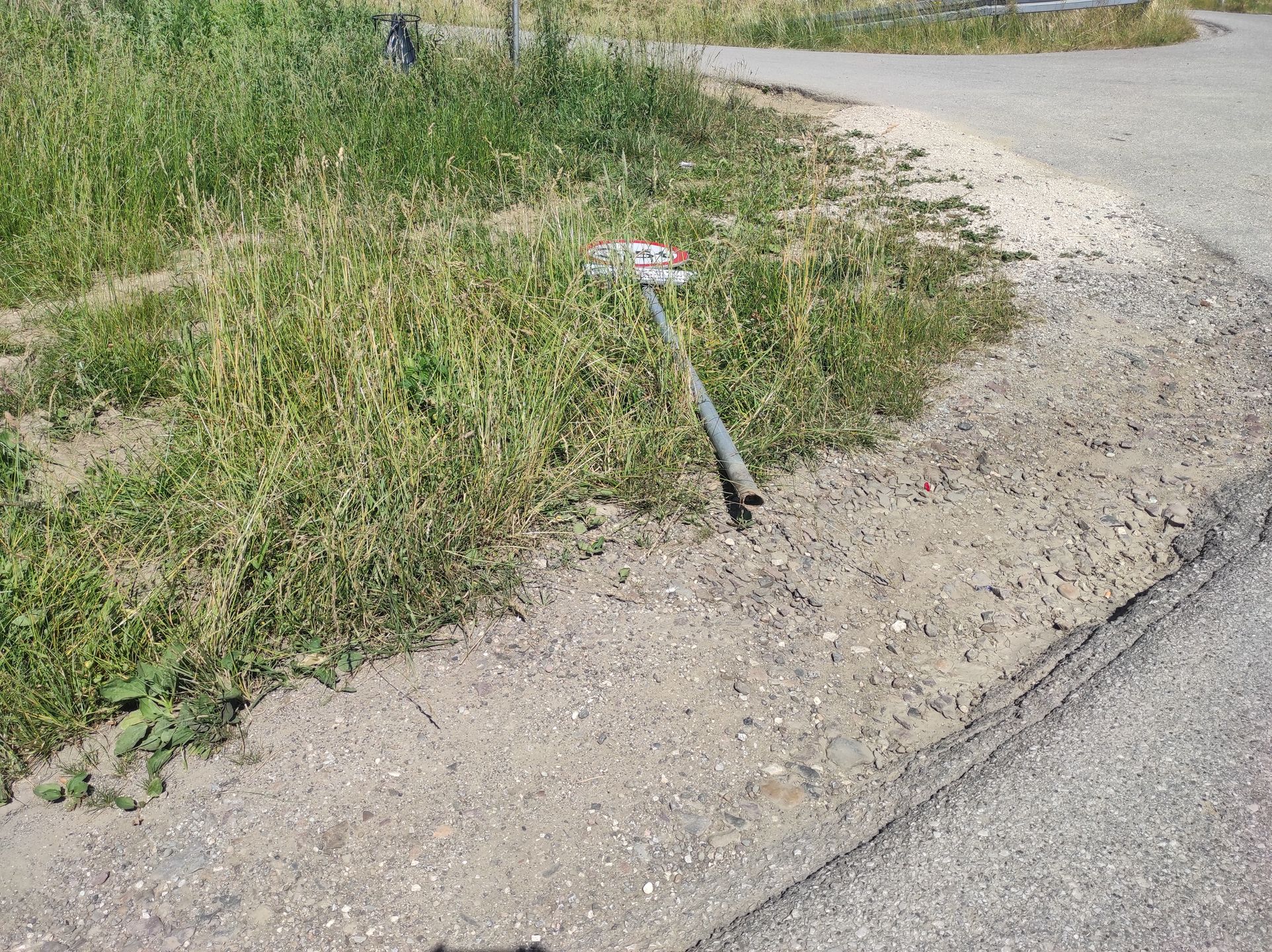 Przewrócony znak leży w zaroślach. To skrajny przykład braku odpowiedzialności za infrastrukturę