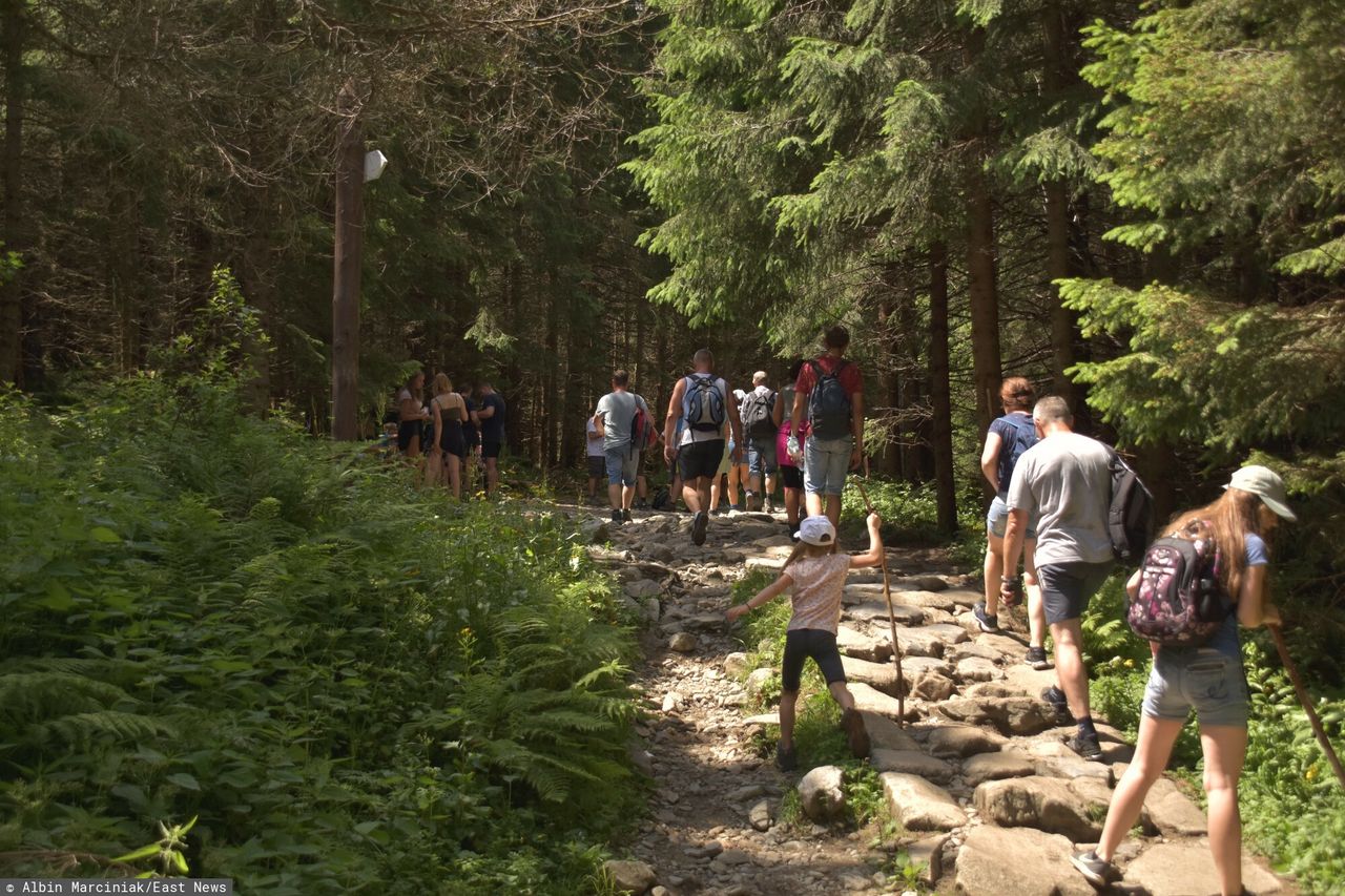 Kłótnia turystów na Giewoncie. W ruch poszedł gaz pieprzowy