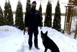 Częstochowa. Skrył się przed policjantami, ale nie przed psem