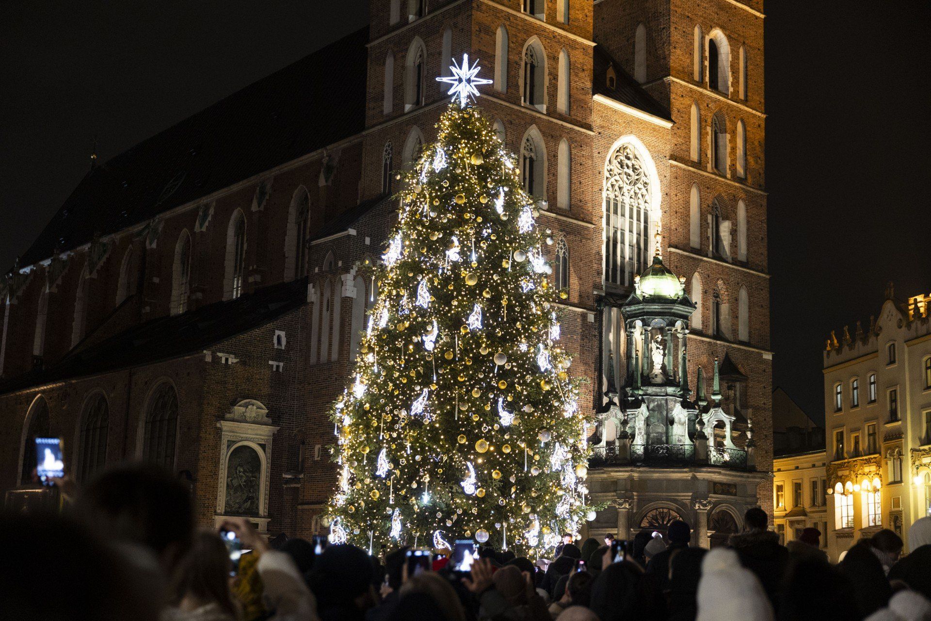 Nie musisz lecieć aż za ocean, by podziwiać choinkę uznawaną przez ekspertów za jedną z najpiękniejszych! Wyróżnienie zdobyło drzewko stojące na Rynku Głównym w Krakowie. Choinka rozbłyśnie prawdopodobnie pod koniec listopada.