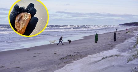 Zobaczcie, co przyniosły ostatnie sztormy na Bałtyku. Wysyp!