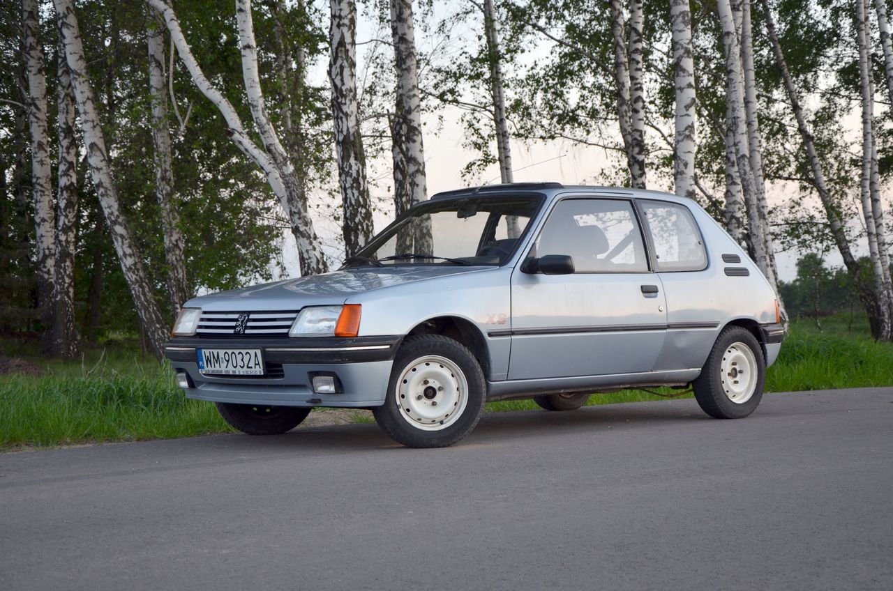 Peugeot 205 kiedyś kosztował grosze, ale z racji wieku... zyskuje na wartości. Najtańsze są popularne auta z lat 90.