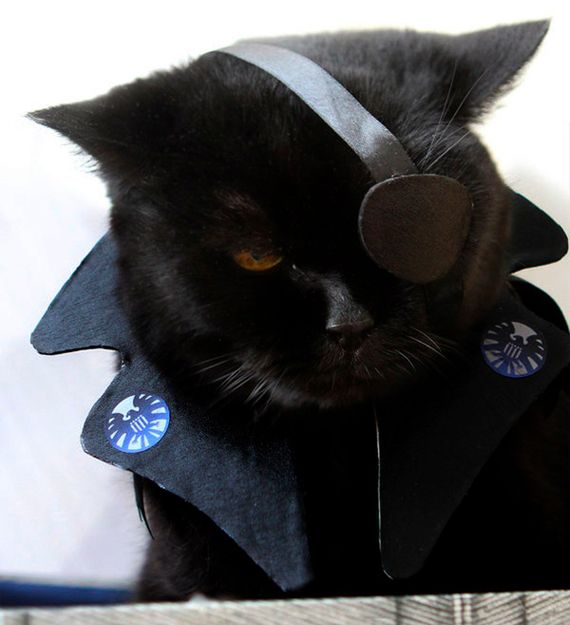 WTF dnia: jak wyglądałby Nick Fury, gdyby był kotem? 2
