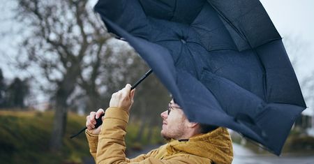 Nad województwo lubelskie nadciąga wichura! Prędkość wiatru sięgnie 85 km/h. IMGW wydał ostrzeżenia