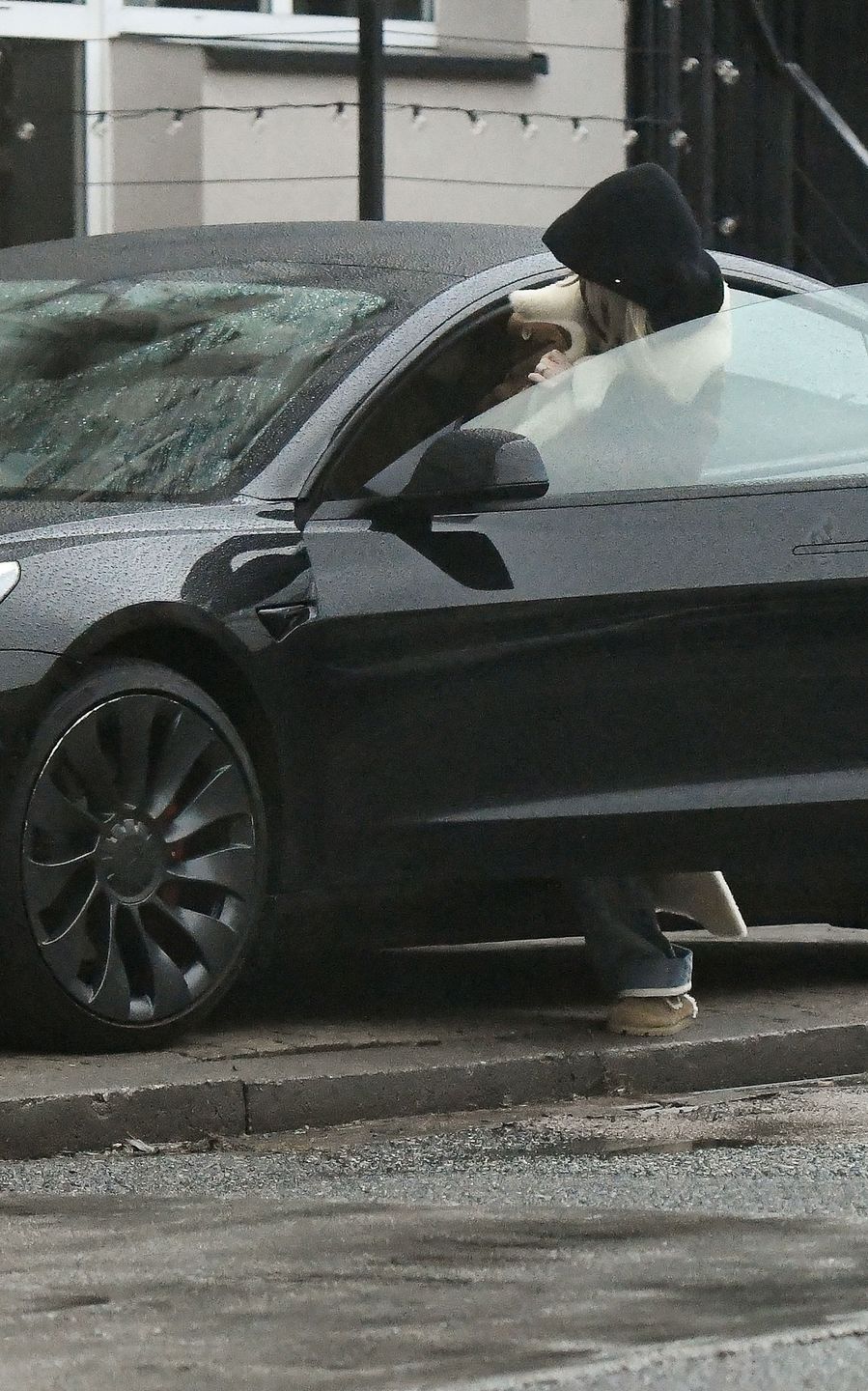 Agnieszka Woźniak-Starak