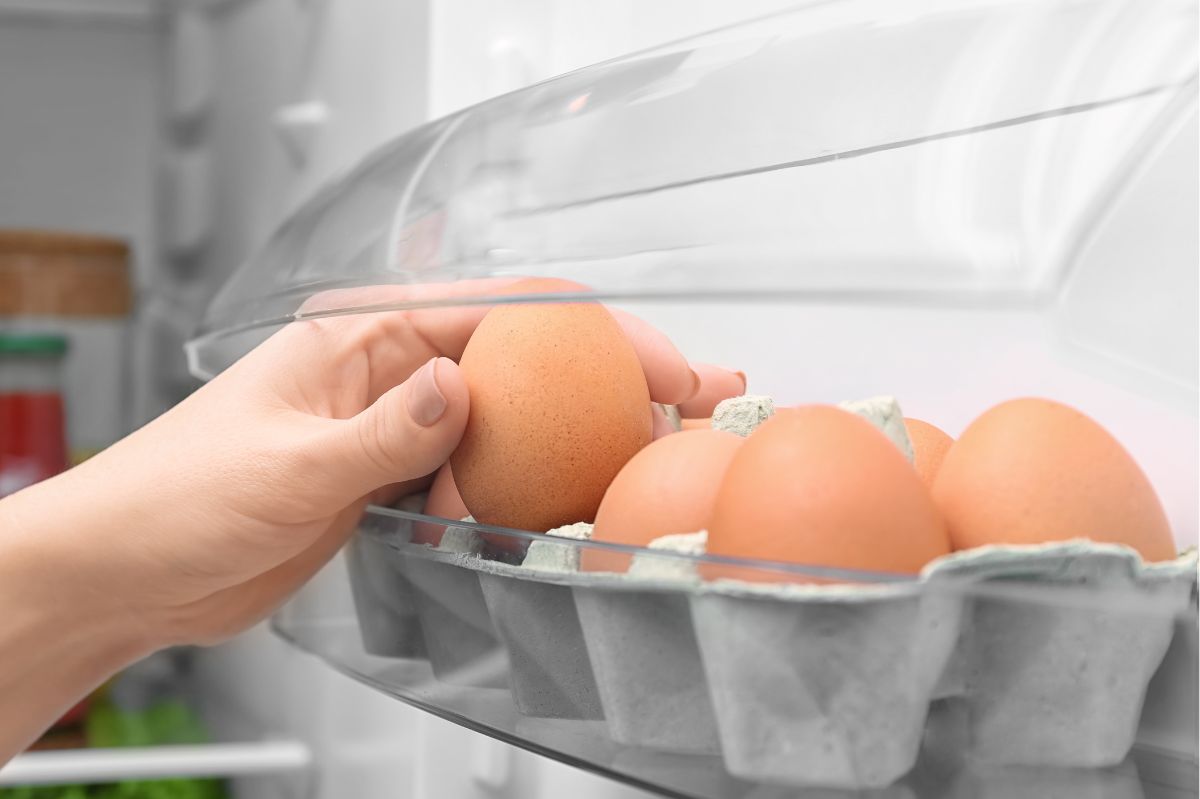 Why shouldn't you keep eggs on the refrigerator door?